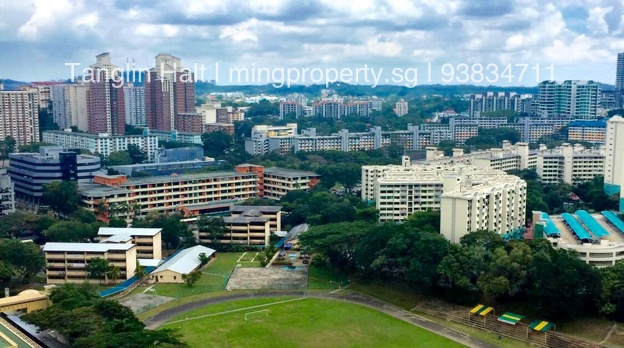 Tanglin Halt HDB Apartments For Rent  Ming Property Singapore