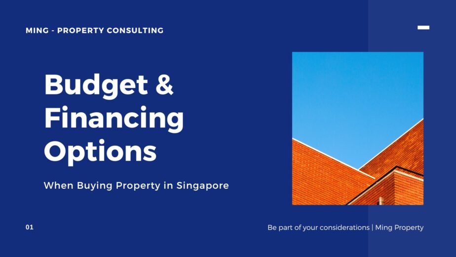 Budget and Financing Options when buying property